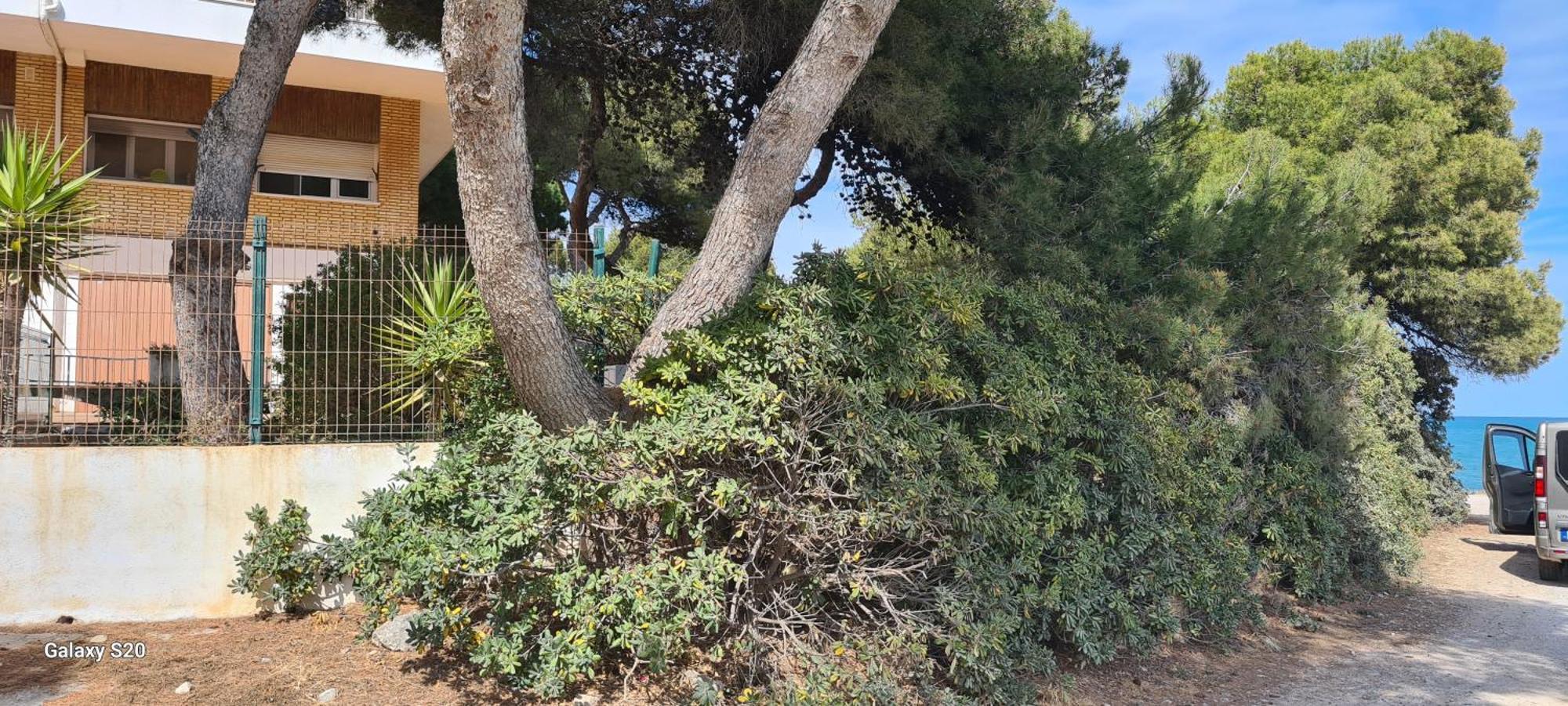 شقة Puerto Azul 1 Peñíscola المظهر الخارجي الصورة